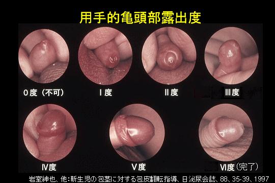 小学生の精通のお手伝い - BoysLove体験談